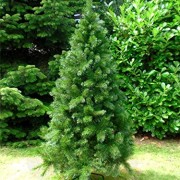 120-cm-ca-446-Spitzen-hochwertiger-knstlicher-Weihnachtsbaum-mit-Metallstnder-Minutenschneller-Aufbau-mit-Klappsystem-schwer-entflammbar-HXT-1101-0-2